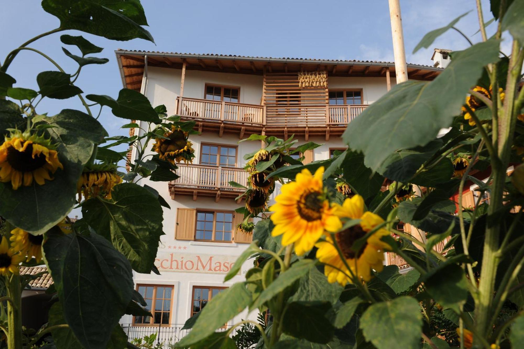 Hotel Relais Vecchio Maso Sopramonte Dış mekan fotoğraf